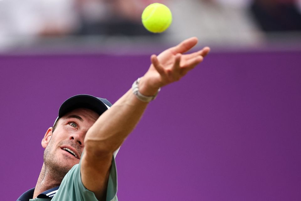 实现了令人 实现了令人